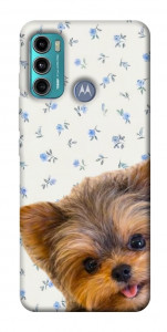 Чохол Cute Yorkie для Motorola Moto G60