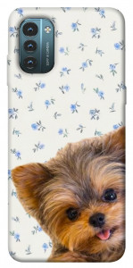 Чехол Cute Yorkie для Nokia G21