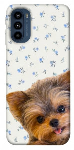 Чохол Cute Yorkie для Motorola Moto G41