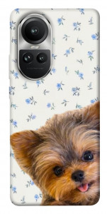 Чохол Cute Yorkie для Oppo Reno10 Pro
