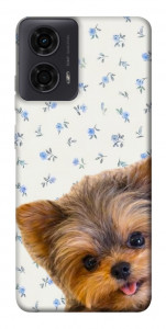 Чохол Cute Yorkie для Motorola Moto G04