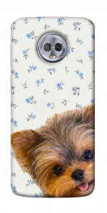Чохол Cute Yorkie для Motorola Moto G6 Plus