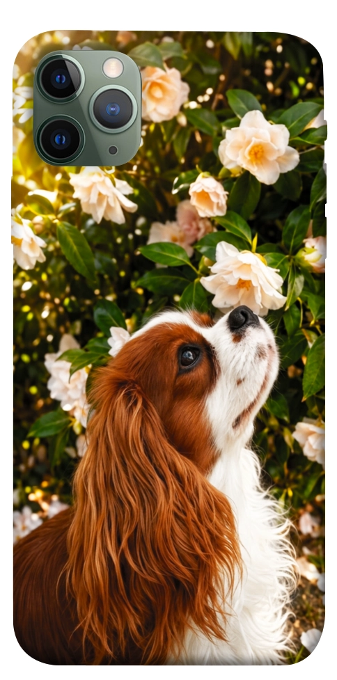 Чехол Flower spaniel для iPhone 11 Pro Max