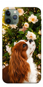 Чохол Flower spaniel для iPhone 11 Pro