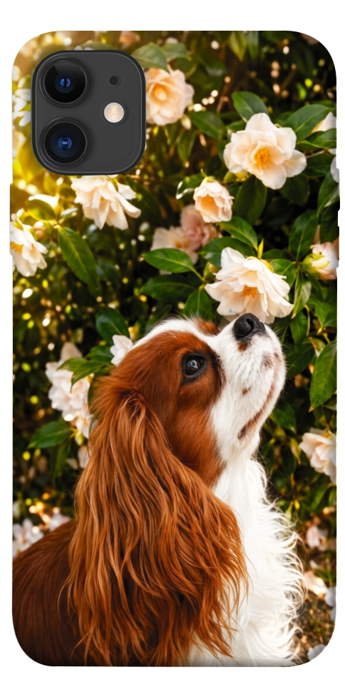 Чехол Flower spaniel для iPhone 11