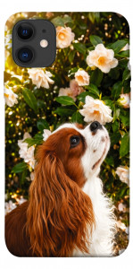 Чехол Flower spaniel для iPhone 11