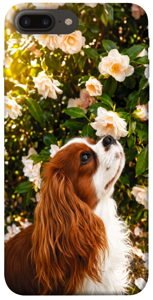Чохол Flower spaniel для iPhone 7 Plus