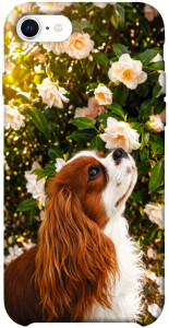 Чехол Flower spaniel для iPhone SE (2020)