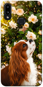 Чохол Flower spaniel для Galaxy A10s (2019)