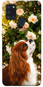 Чехол Flower spaniel для Galaxy A21s (2020)