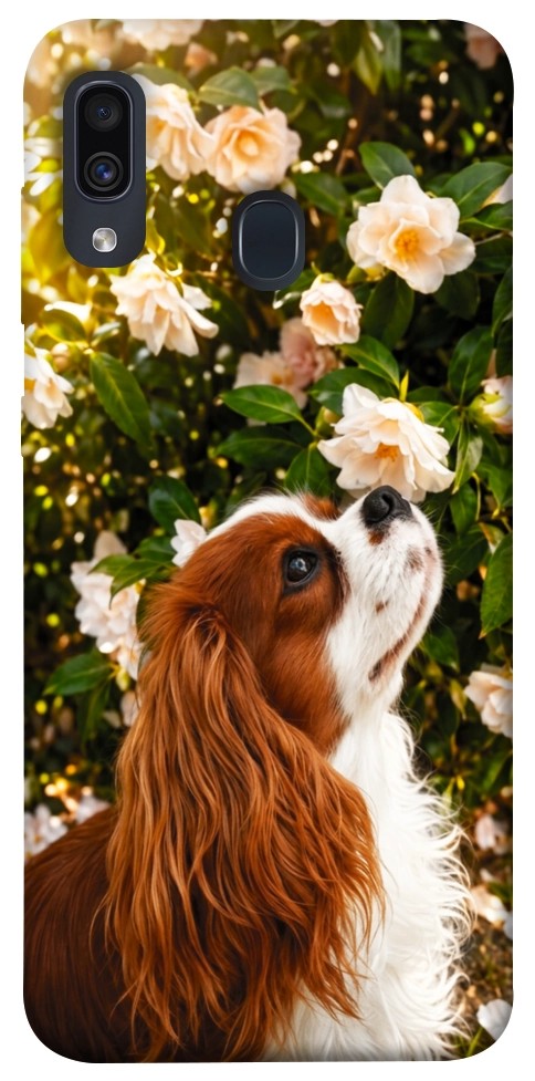 Чохол Flower spaniel для Galaxy A30 (2019)