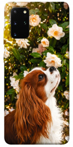 Чехол Flower spaniel для Galaxy S20 Plus (2020)