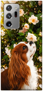 Чехол Flower spaniel для Galaxy Note 20 Ultra
