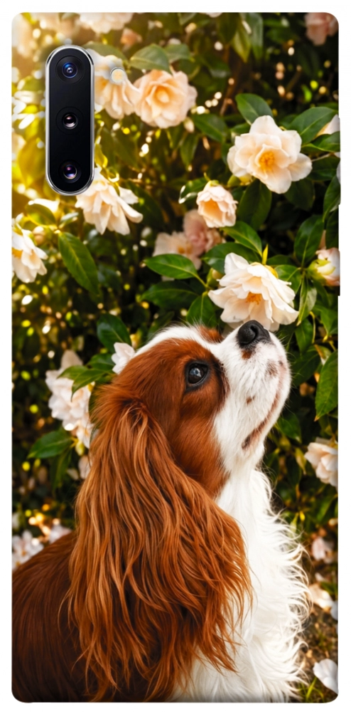 Чохол Flower spaniel для Galaxy Note 10 (2019)
