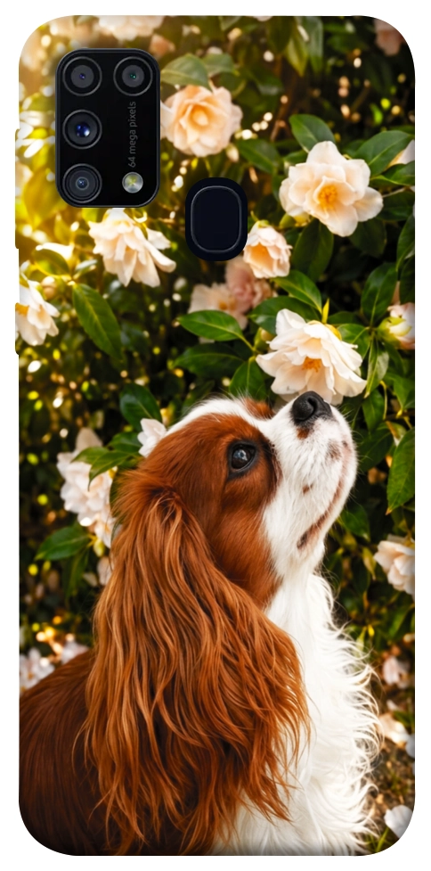Чехол Flower spaniel для Galaxy M31 (2020)