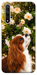 Чехол Flower spaniel для Huawei Nova 5T