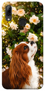 Чохол Flower spaniel для Huawei P Smart (2019)