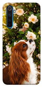 Чохол Flower spaniel для Realme 6 Pro
