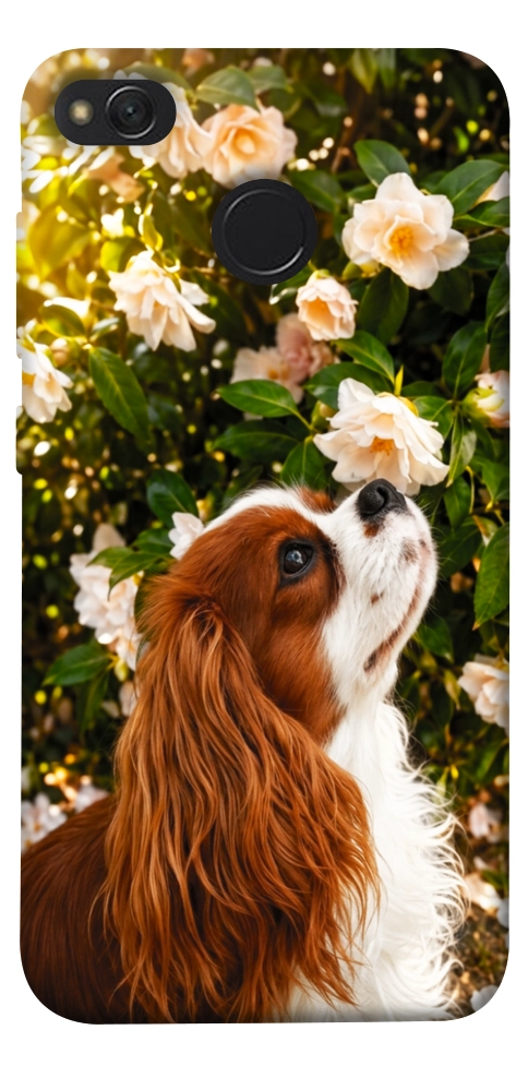 Чехол Flower spaniel для Xiaomi Redmi 4X