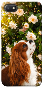 Чехол Flower spaniel для Xiaomi Redmi 6A