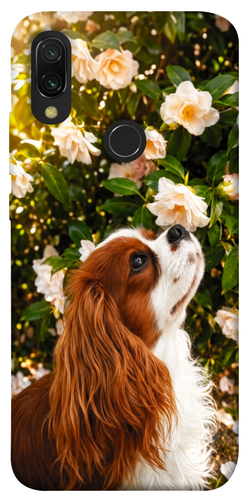Чохол Flower spaniel для Xiaomi Redmi 7