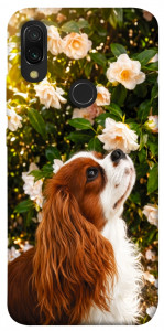 Чохол Flower spaniel для Xiaomi Redmi Y3