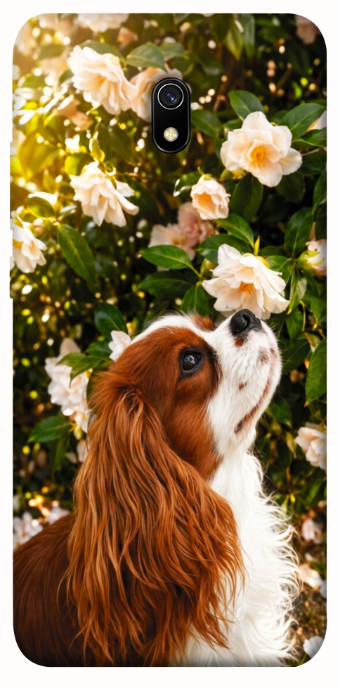 Чохол Flower spaniel для Xiaomi Redmi 8a