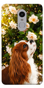 Чехол Flower spaniel для Xiaomi Redmi Note 4 (Snapdragon)