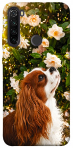 Чехол Flower spaniel для Xiaomi Redmi Note 8T