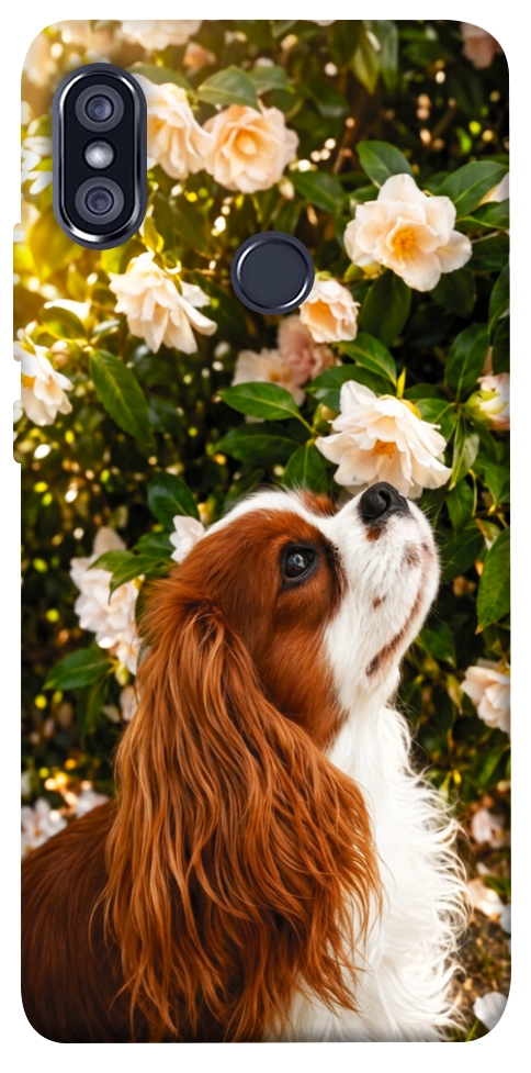 Чехол Flower spaniel для Xiaomi Redmi Note 5 (Dual Camera)