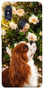 Чехол Flower spaniel для Xiaomi Redmi Note 5 (DC)
