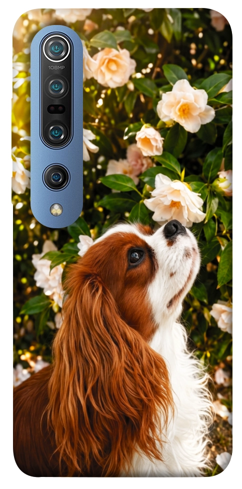 Чехол Flower spaniel для Xiaomi Mi 10