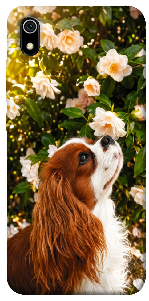 Чохол Flower spaniel для Xiaomi Redmi 7A