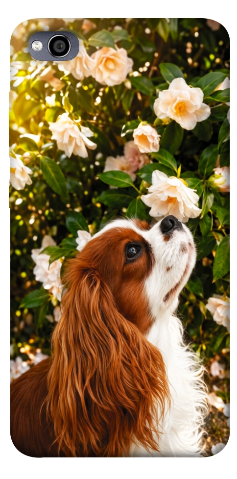 Чохол Flower spaniel для Xiaomi Redmi 4A