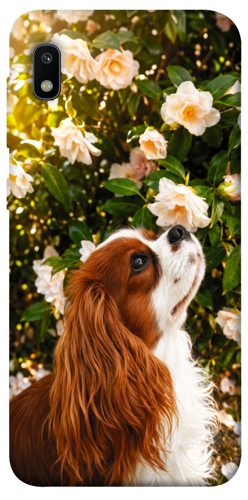 Чехол Flower spaniel для Galaxy A10 (A105F)