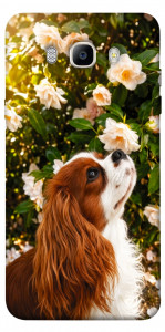 Чехол Flower spaniel для Galaxy J5 (2016)
