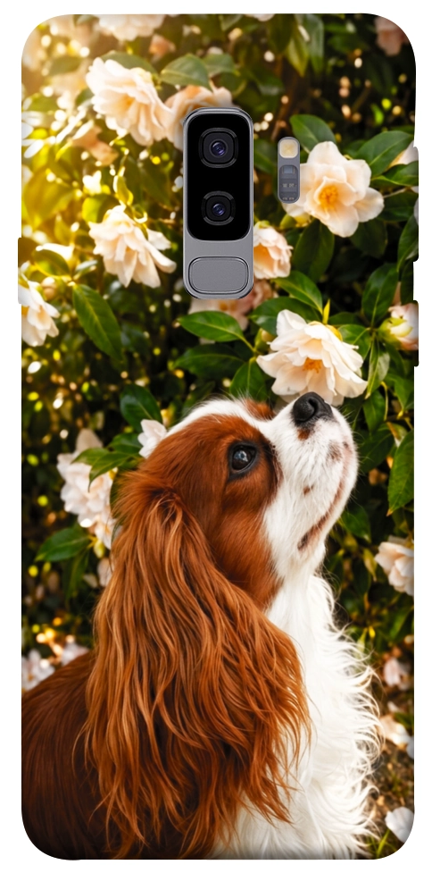 Чехол Flower spaniel для Galaxy S9+