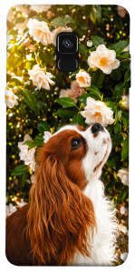 Чехол Flower spaniel для Galaxy A8 (2018)