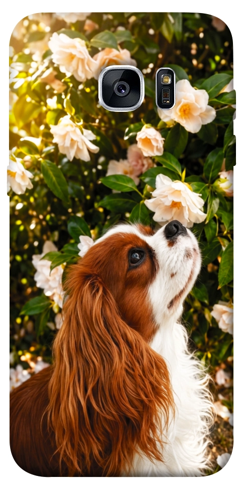 Чохол Flower spaniel для Galaxy S7 Edge