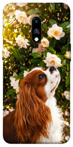 Чохол Flower spaniel для OnePlus 7