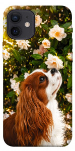 Чехол Flower spaniel для iPhone 12