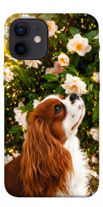 Чехол Flower spaniel для iPhone 12 mini