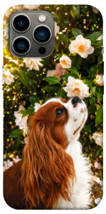 Чохол Flower spaniel для iPhone 12 Pro Max