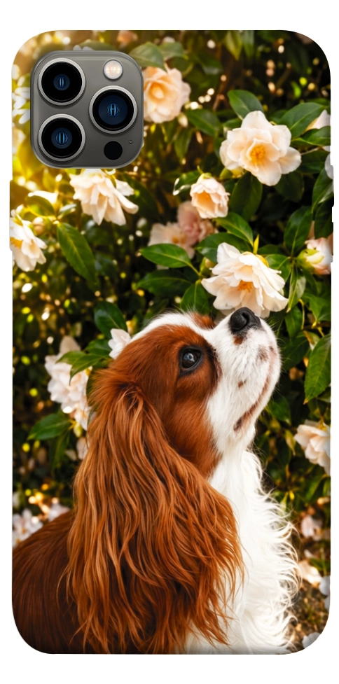 Чехол Flower spaniel для iPhone 12 Pro