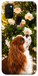 Чохол Flower spaniel для Samsung Galaxy M21