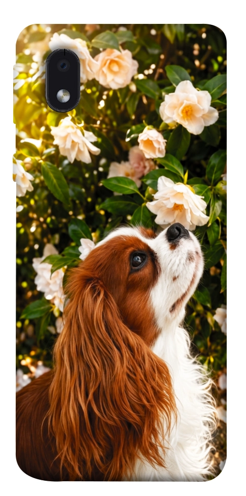 Чохол Flower spaniel для Galaxy M01 Core