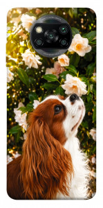 Чехол Flower spaniel для Xiaomi Poco X3 Pro