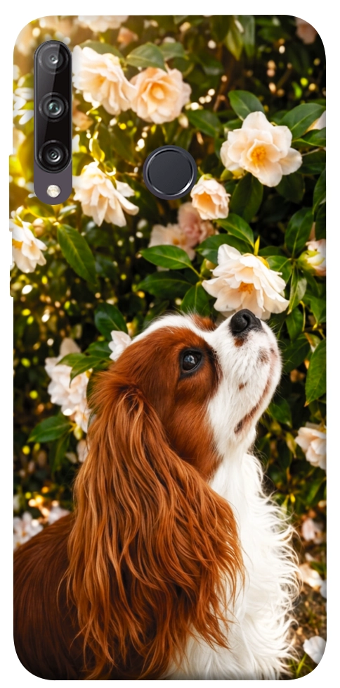 Чехол Flower spaniel для Huawei P40 Lite E