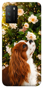 Чехол Flower spaniel для Xiaomi Poco M3