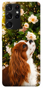 Чехол Flower spaniel для Galaxy S21 Ultra